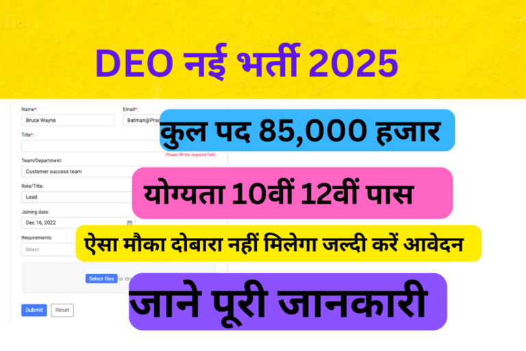 DEO Vacancy 2025