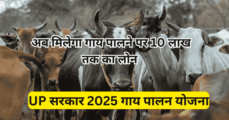 UP सरकार 2025 गाय पालन योजना