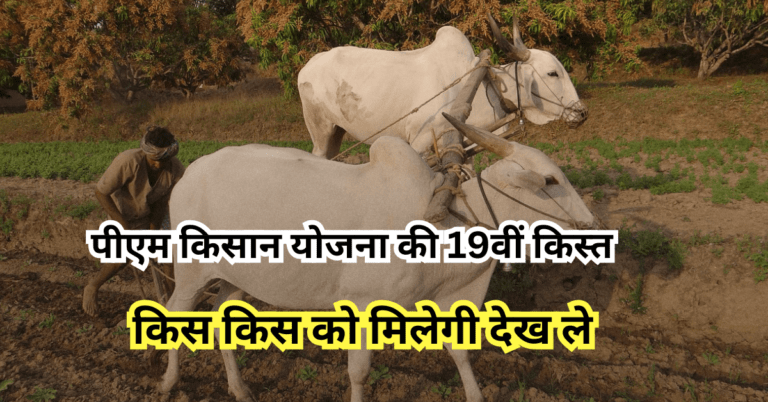 पीएम किसान योजना की 19वीं किस्त
