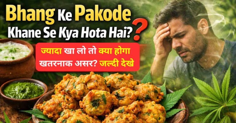 Bhang ke pakode khane se kya hota hai – जानिए भांग के पकोड़े खाने के असर और नुकसान, होली और शिवरात्रि पर सेवन के प्रभाव